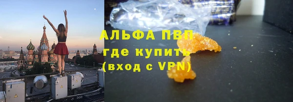 стаф Покровск
