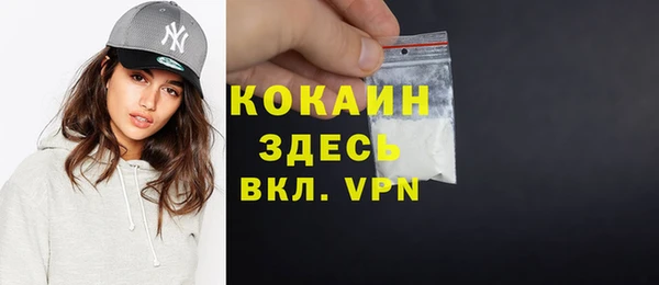 индика Заволжье