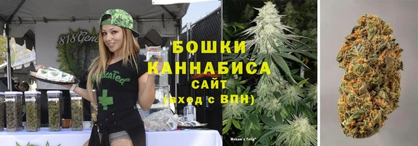 mdpv Елизово