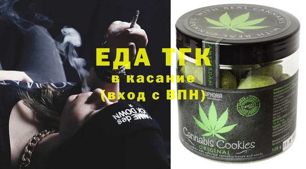 индика Заволжье
