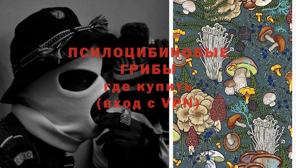 индика Заволжье