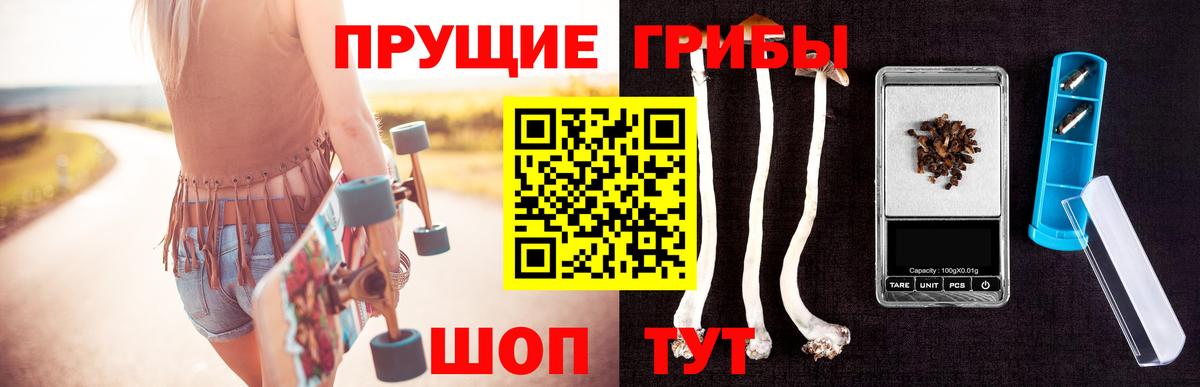 купить наркотик  Рузаевка  Псилоцибиновые грибы ЛСД  Галлюциногенные грибы GOLDEN TEACHER 