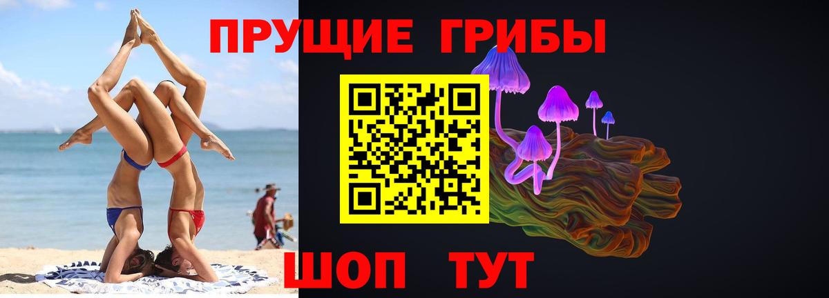 Галлюциногенные грибы Psilocybe Рузаевка